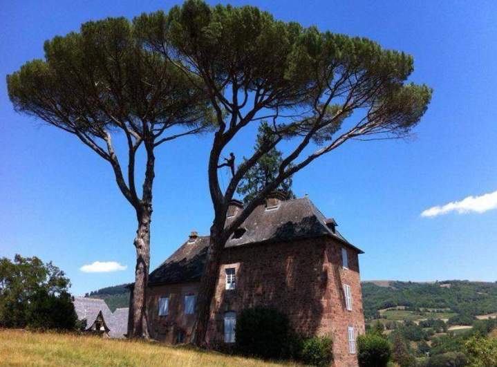 Elagage soigné Saint-Christophe-Vallon