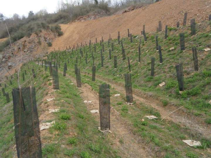Aménagement de pente pour stabilisation de sol Saint-Christophe-Vallon
