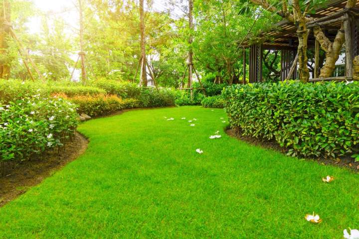 Entretien de jardin Saint-Christophe-Vallon