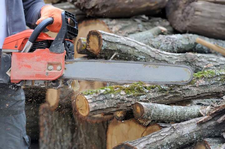 Professionnel de l'abattage d'arbres Saint-Christophe-Vallon